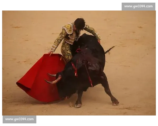 激情四溢的斗牛比赛：传统与现代的碰撞与融合展现勇气与技巧的极致对决